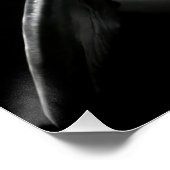  Monochrome Dolphin Portrait - Underwater Marine A ポスター (コーナー)