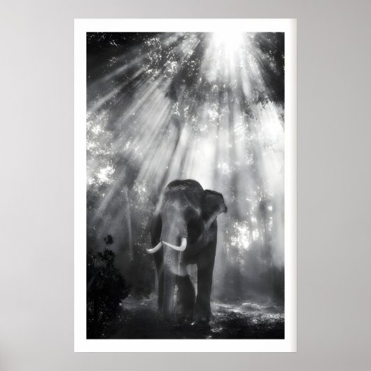 Monochrome Elephant Wall Art, Nature Photo (Living ポスター (正面)