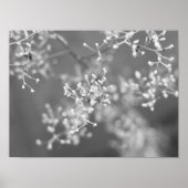 Monochrome Meadow ポスター (正面)