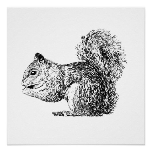 Monochrome Squirrel poster (part of a set) ポスター (正面)
