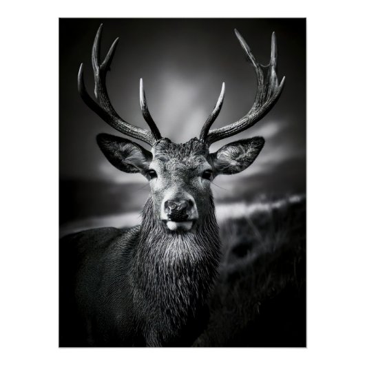 Monochrome Stag Portrait with Impressive Antlers ポスター (正面)