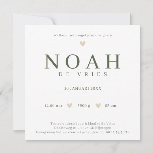 Monogram N Beer Bosdier Waterverf Geboortekaartje カード (裏面)