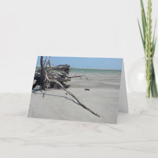 Monomoy National Wildlife Refuge in Cape Cod カード