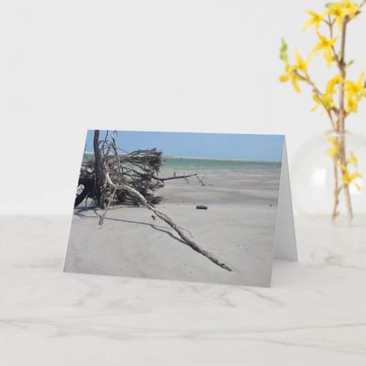 Monomoy National Wildlife Refuge in Cape Cod カード (黄色い花)