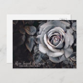 Monotone Rose [Postcard] ポストカード (正面/裏面)