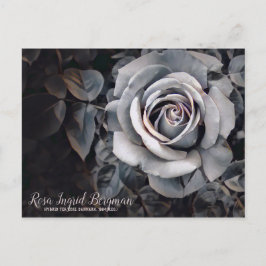 Monotone Rose [Postcard] ポストカード