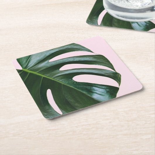 Monsteraの熱帯葉 スクエアペーパーコースター (アングル)