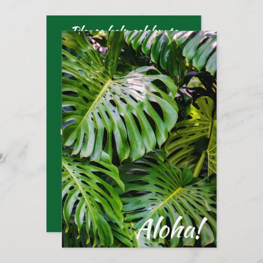 Monstera葉ガーデン，カウアイ，ハワイ 招待状 (正面/裏面)