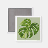 Monstera Albo Hero Leaf Magnet — Rare Variegation  マグネット (正面/裏面)