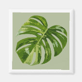 Monstera Albo Hero Leaf Magnet — Rare Variegation  マグネット (正面)