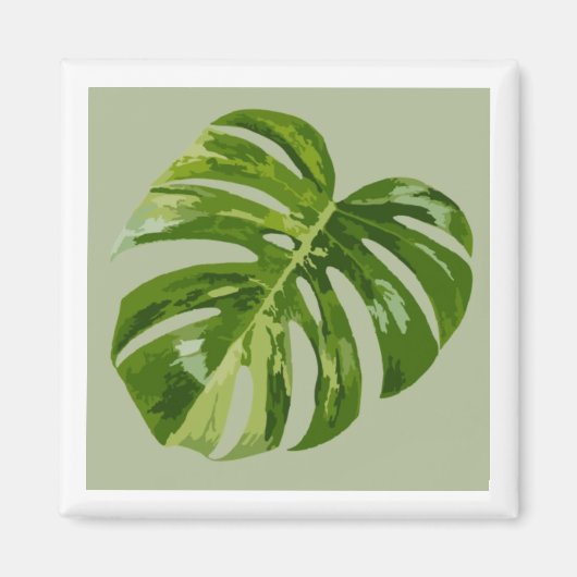 Monstera Albo Hero Leaf Magnet — Rare Variegation  マグネット (正面)