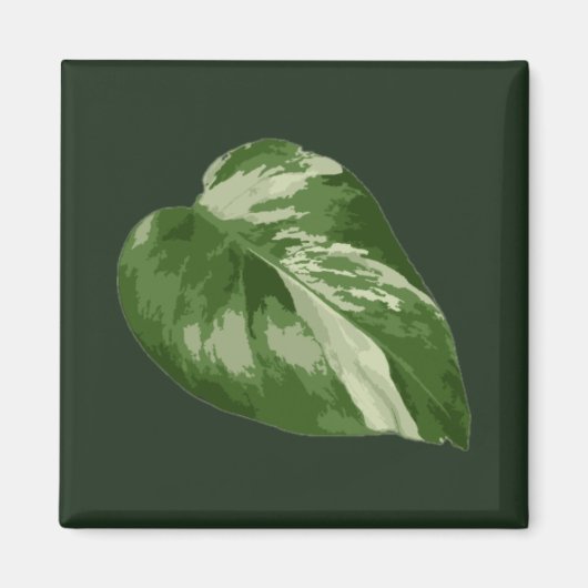 Monstera Albo Leaf Magnet — Rare Variegation  マグネット (正面)