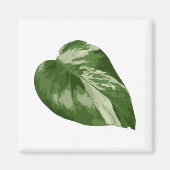 Monstera Albo Leaf Magnet — Rare Variegation マグネット (正面)