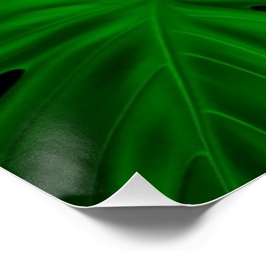 monstera deliciosa wall art ポスター (コーナー)