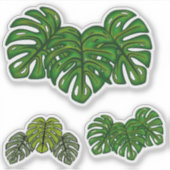 Monstera Leaves シール (正面)