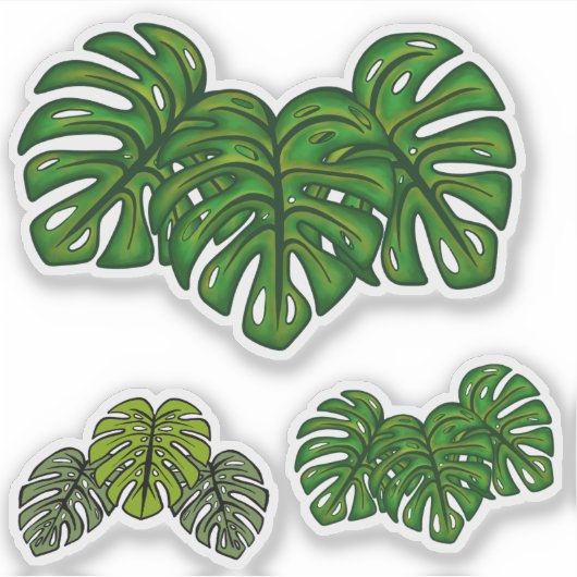 Monstera Leaves シール (正面)