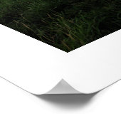 MONT ST MICHELポスター ポスター (角)