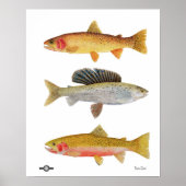 Montana Beauties ポスター (正面)