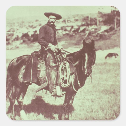 Montana Cowboy, c.1880 (写真はB/W) スクエアシール (正面)