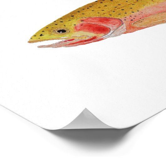 Montana Cuthroats ポスター (角)