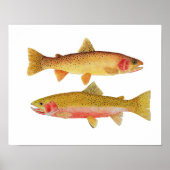 Montana Cuthroats ポスター (正面)