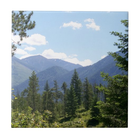 Montana Forest and Mountains Scenic View タイル (正面)