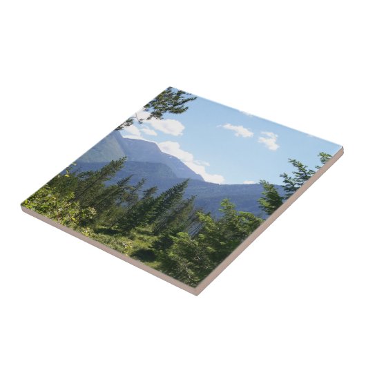Montana Forest and Mountains Scenic View タイル (側面)