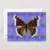 Montana Mourning Cloak Butterfly ポストカード (正面/裏面)
