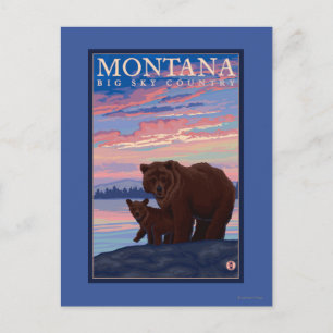 MontanaMommaくまおよびカブスのヴィンテージ旅行 ポストカード