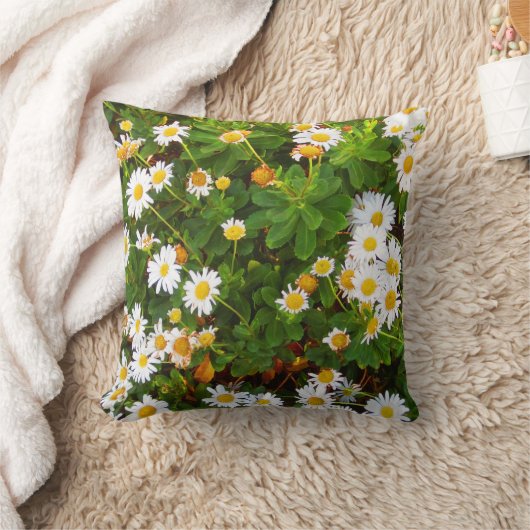 Montaukのデイジーの装飾的な装飾用クッション クッション (ブランケット)