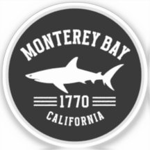 Monterey Bay California Surfer Paradise