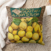 Monterossoレモン綿の装飾用クッション クッション (ブランケット)