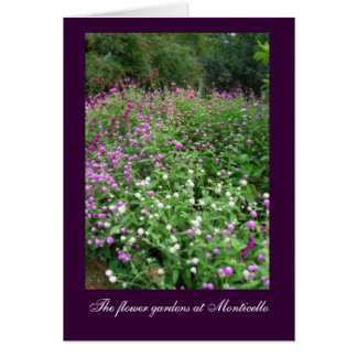 Monticelloの花園