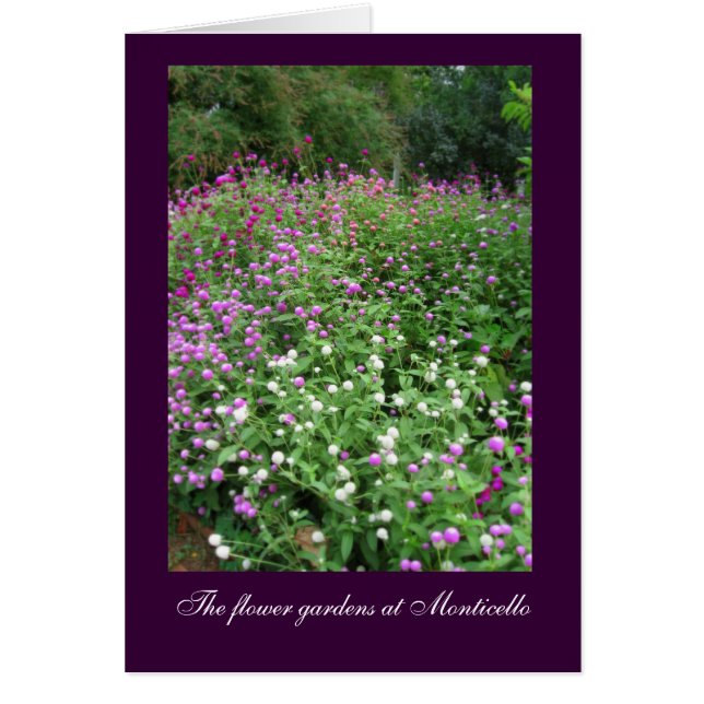 Monticelloの花園 (正面)