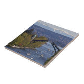 Montlakeの橋および滝山 タイル (側面)