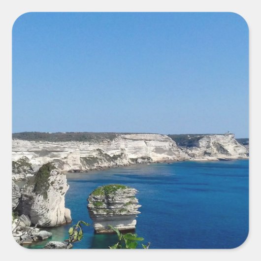 Montre eWatch Factory スクエアシール (正面)