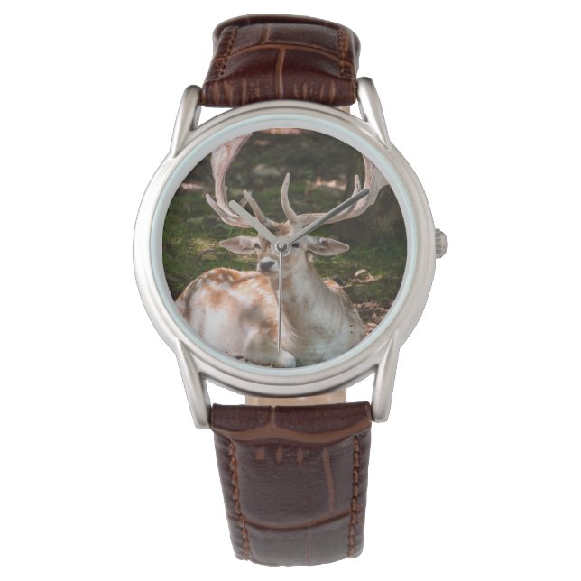 montre photo cerf sous les bois 腕時計 (正面)