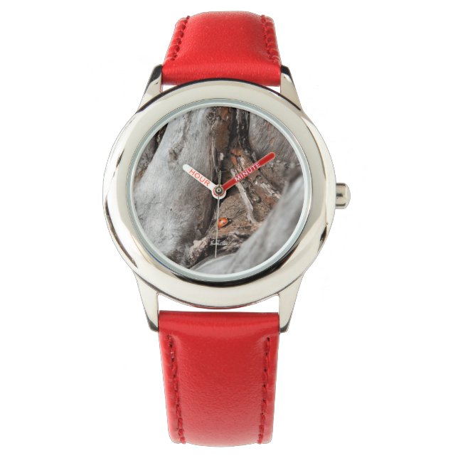 Montre photo d'une coccinelle 腕時計 (正面)