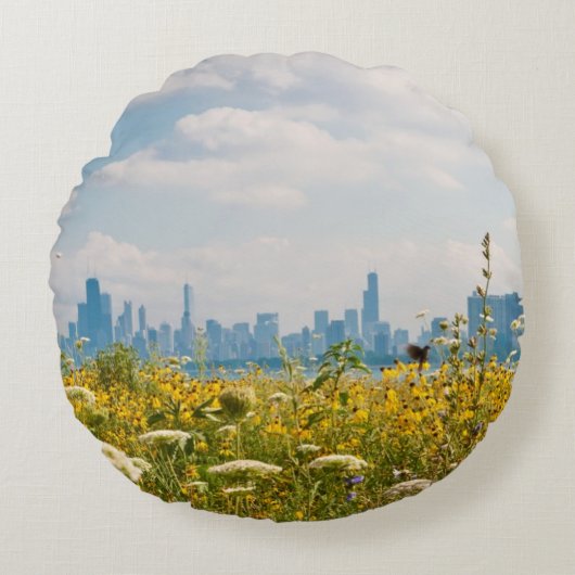 Montrose港の鳥から見られるシカゴ ラウンドクッション (正面)