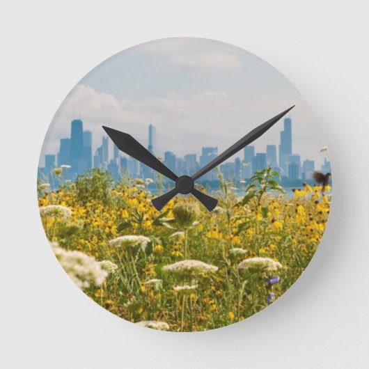 Montrose港の鳥から見られるシカゴ ラウンド壁時計 (正面)