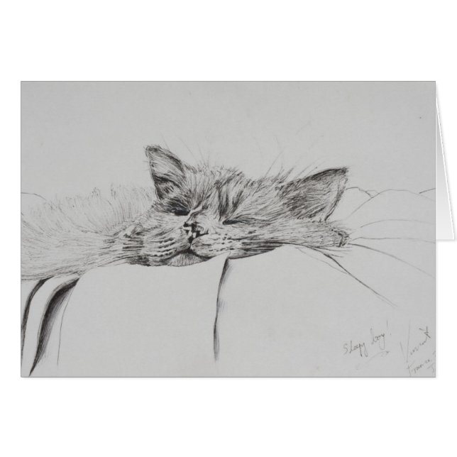 Montyの眠い男の子 (正面横)