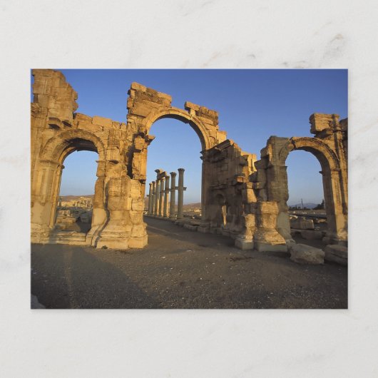 Monumental Arch, Palmyra, Homs, Syria ポストカード (正面)