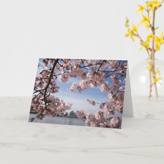 Monuments | Jefferson Memorial Cherry Blossoms カード (黄色い花)