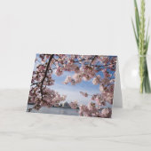 Monuments | Jefferson Memorial Cherry Blossoms カード (正面)