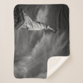 Monuments | Statue of Liberty Manhattan NYC シェルパブランケット (正面)