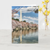 Monuments | Washington Memorial カード (黄色い花)