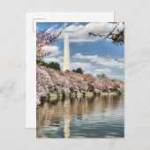 Monuments | Washington Memorial ポストカード (正面/裏面)