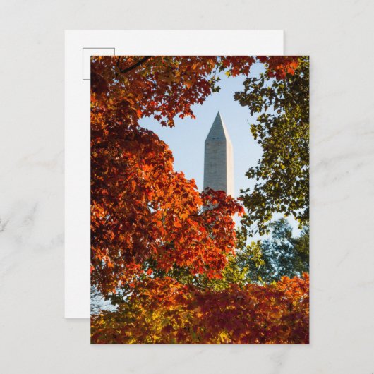 Monuments | Washington Monument in Autumn ポストカード (正面/裏面)