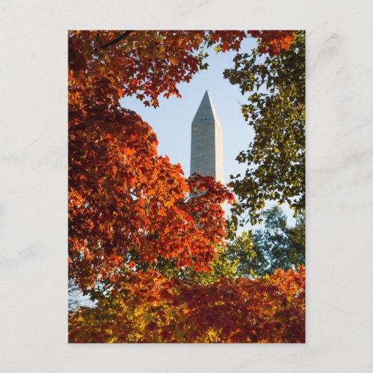 Monuments | Washington Monument in Autumn ポストカード (正面)