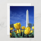 Monuments | Washington Monument in Spring ポストカード (正面/裏面)